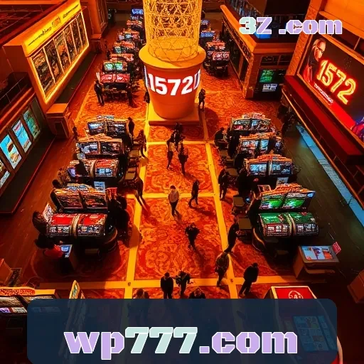 wp777.com Plataforma